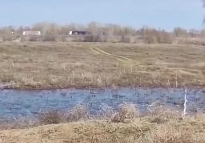 Fuck Me on the Side of the Road, Shove a Big Cock with Cum up My Ass