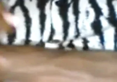 Passionately Stroking Edging My BBC Moaning Groaning