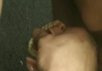 Deepthroat Gagging Studs Drooling Thick Spit Everywhere