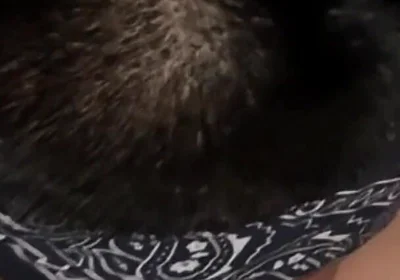 Watches Boyfriend's Long Deep Oral Session