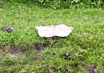 Enjoying Alone in Jungle Indian Young Boy