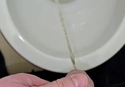 Pissing to the Toilet