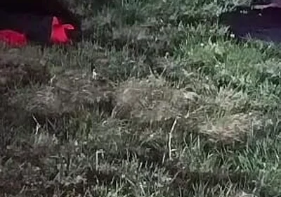 I Strip and Jerk off Outside at Night