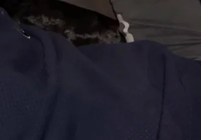 Sweaty Sock Deepthroat - Sniffing - Swallowed