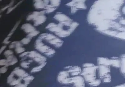 Gray Boxer and White Socks (video 1)