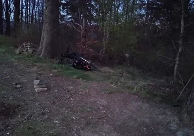 Naked in the Meadow