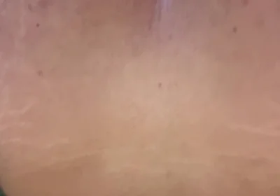 Im a Lovers of Cocks
