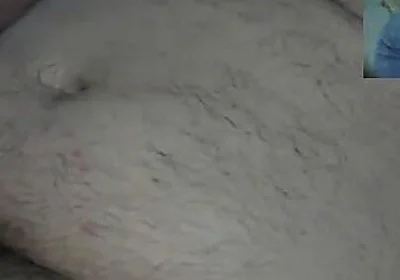 Who Lifted Daddy Bear's Dick and Emptied It?