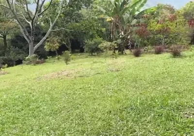 Horny Guy with Glasses Shows You His Morning Erection and Masturbates Outdoors - Andcristian