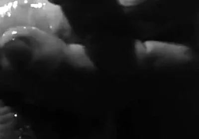Close Oily Cock Play