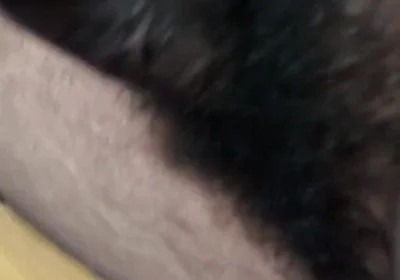 Telugu Abbayi Video