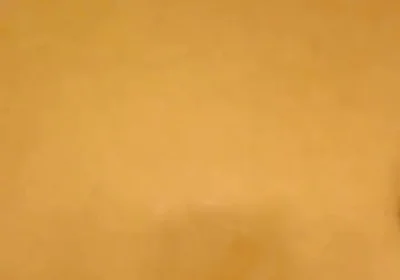 Black Cock Shots