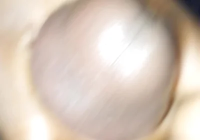 Big Cock Mastubate Till Cum
