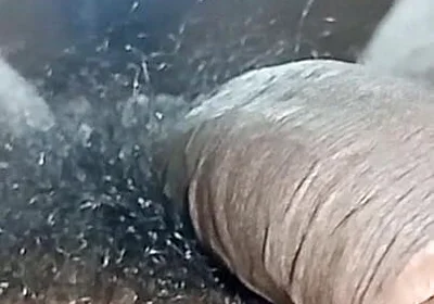Tamil Wife Horny and Pussy Licking
