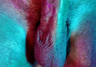 Uncut Dick Close up