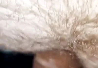 Latino Does a Casting Call and Gets a Deep Penetration in His Hairy Ass!