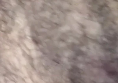 Some Fun Nipple Stuff for Titty Tuesday!