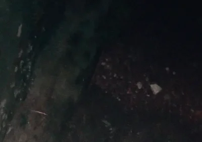 A Jerk off in Cold Weather During the Holidays to Warm up the Big Dick