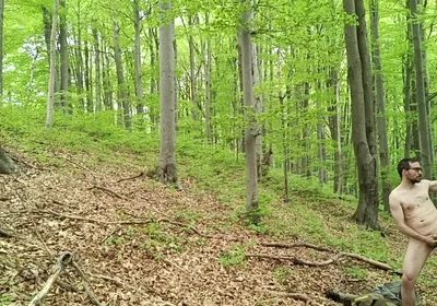 I Chase Him Through the Leaves