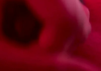 Red Golden Perish Golden Sperm Shot
