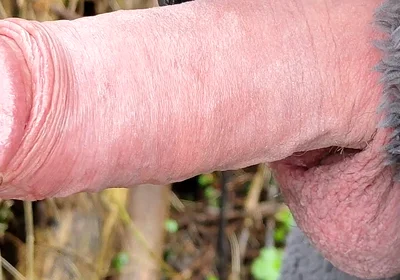 Outdoor cruising hard cock pissing onesie wank in the woods - Rockard Stepdaddy