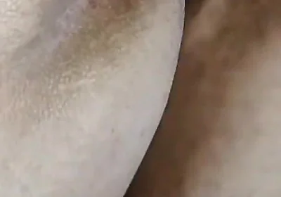 Fucking My English Teacher's Ass!