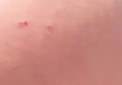 My Big Ass Is Way Better Than a Woman’s, and It Never Gets Pregnant.