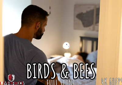 Birds and Bees - Full - David Finds Stepson Joseph Watching Gay Porn. Time for the Talk and the Dick!