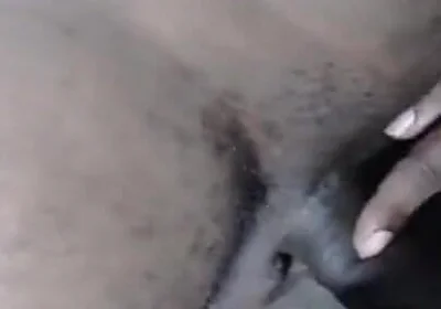 Black Cock