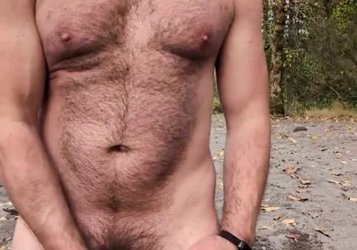 A Bear in the Wild