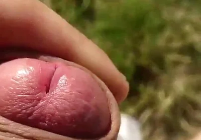 Risky Forest Wank