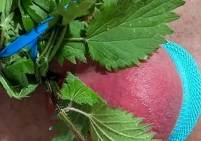 Cum with Nettles Inside Dick