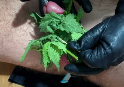 Cum with Nettles Inside Dick