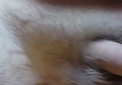 I'm Waving My Cock for You