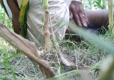 The Village Boy Went to the Cornfield and Hit Him Hard