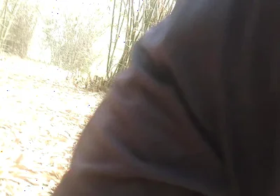 Forest Public Indian Boy and Handjob