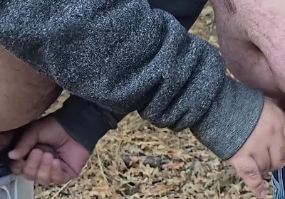 Fat Bears Suck Each Other's Cocks in the Forest