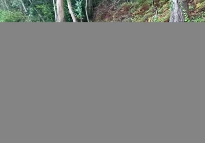 Over 1 Hour of Gay Sex Compilation