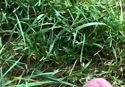 Enjoy This Slowmo. Tomorrow a Short BJ Clip Will Come:d