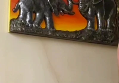 Opening Ass of a Buttocked Chick Bareback to Fill It with Latin Anal Creampie Cum