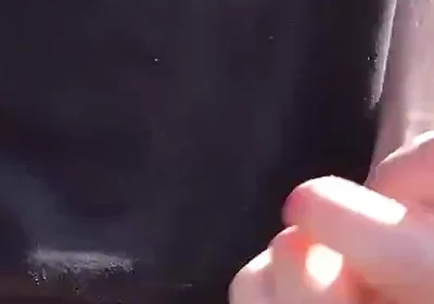 The Sunshine