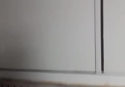 New Masturbation Day