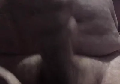 Handsome Mature Chubby with Big Fat Cock Masturbating Until I Cum a Lot in the Foreground for You Comments