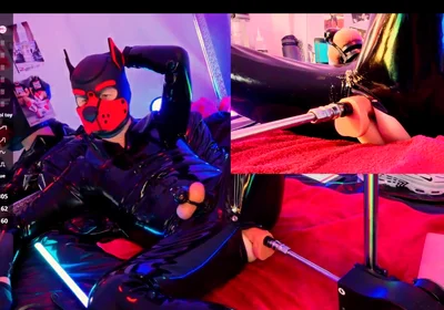 Nicolaus Rubber Show with Pet Mask
