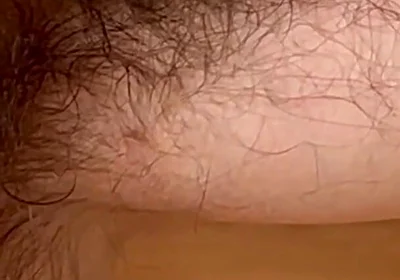 Just Wanted to Let Give You a Closer Look at My Very Hairy Armpits That’s It