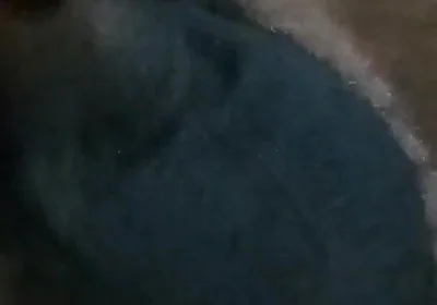 Who Wants My Dick?