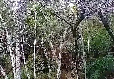 I Went to the Waterfall and Showed off Before Someone Came and Caught Me.