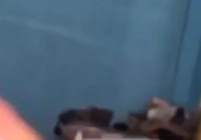 Haydenbbc Video