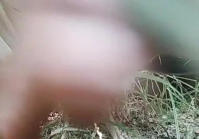 The Village Boy Went to the Cornfield and Hit Him Hard