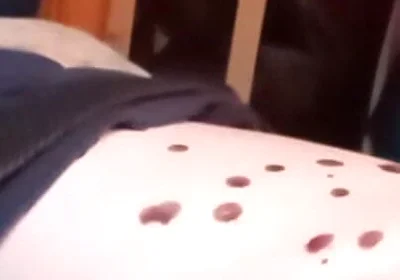 Bored Sub